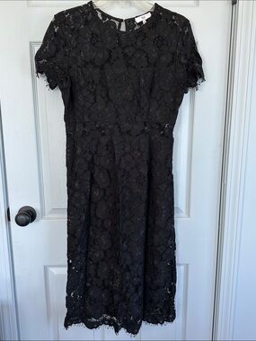 NSR Black Lace Overlay Dress